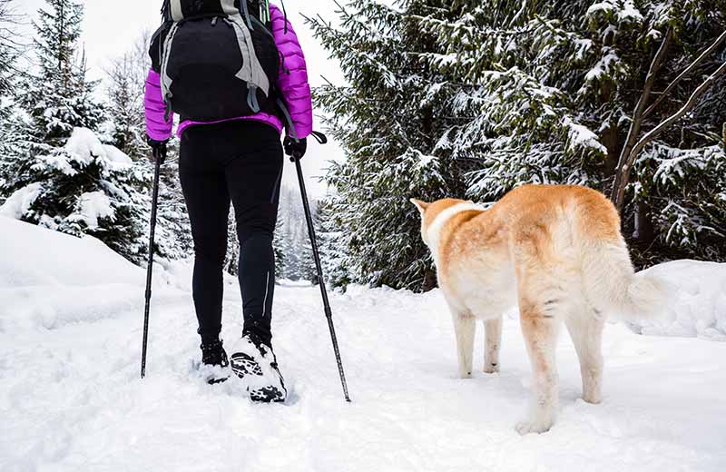Escursione invernale al Rifugio Moser