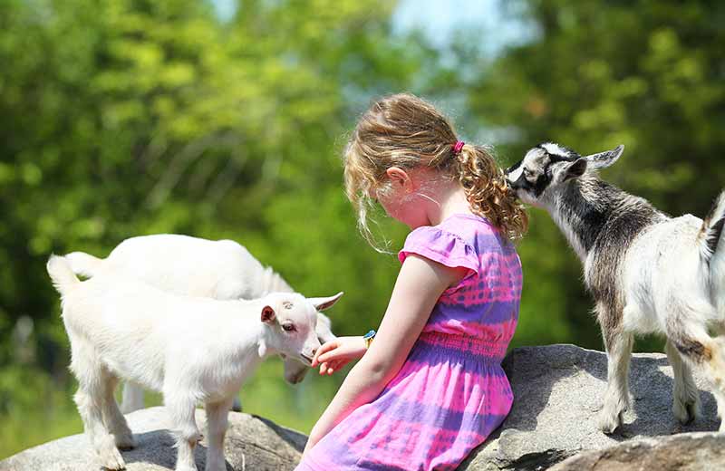 Vacanze in agriturismo